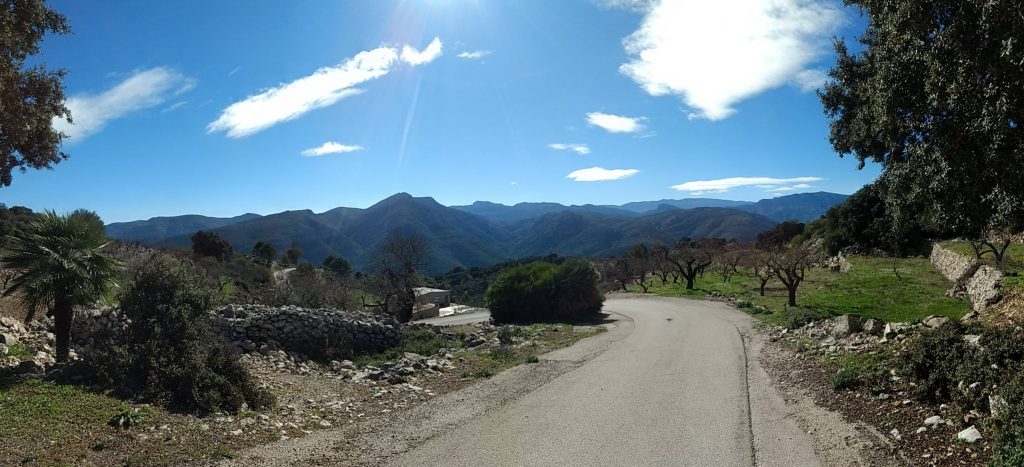 Collao